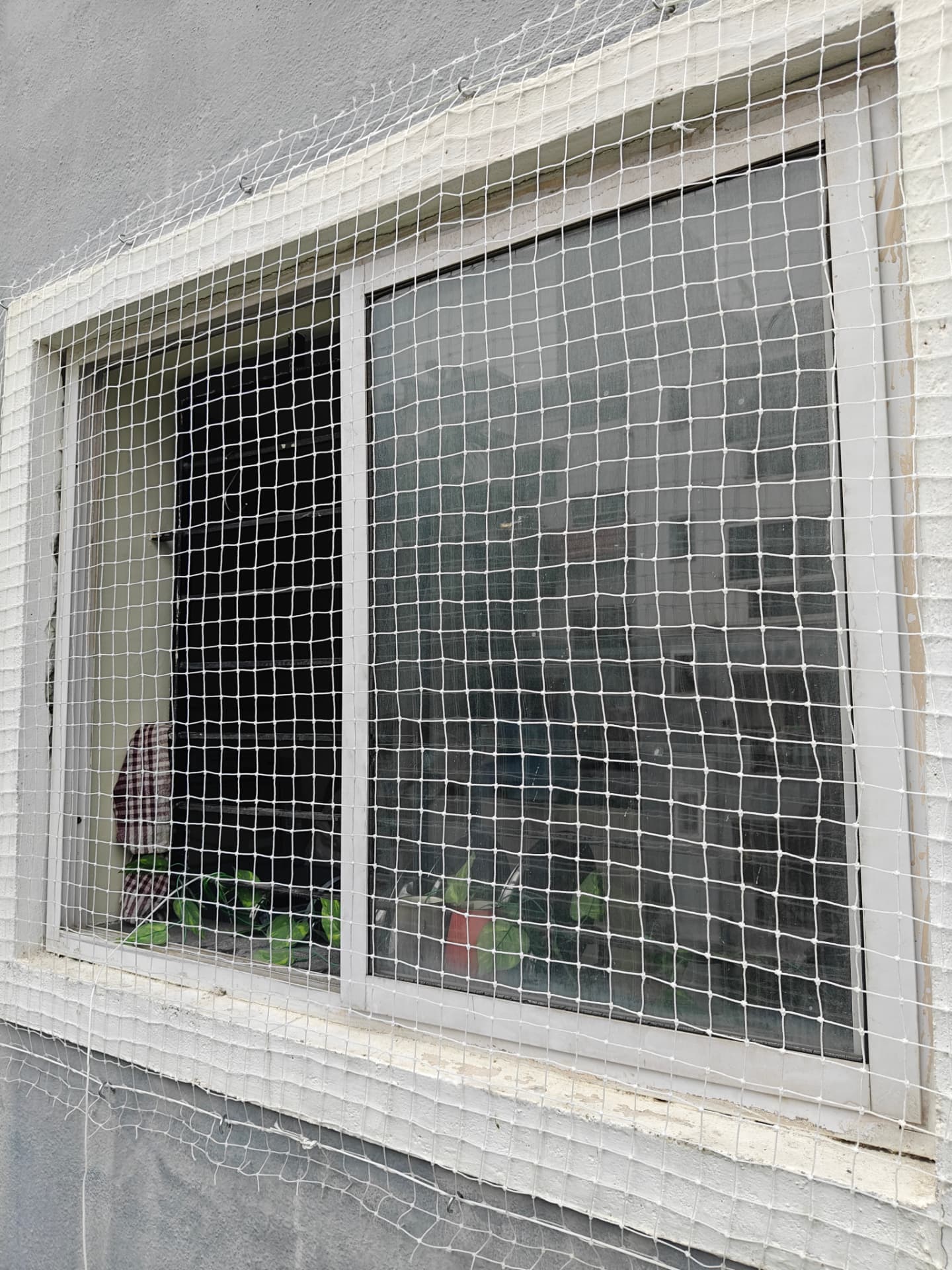 Window pigeon nets