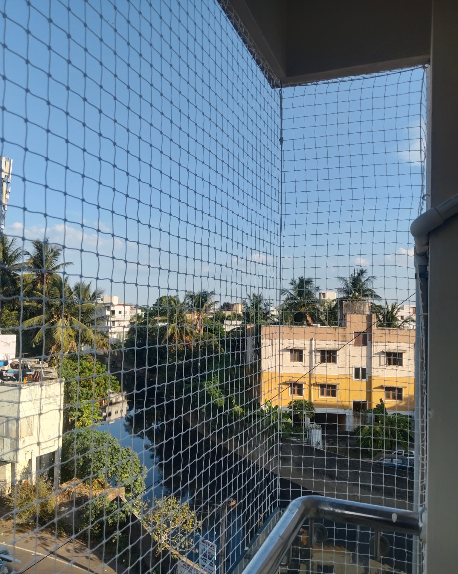 Pigeon safety nets