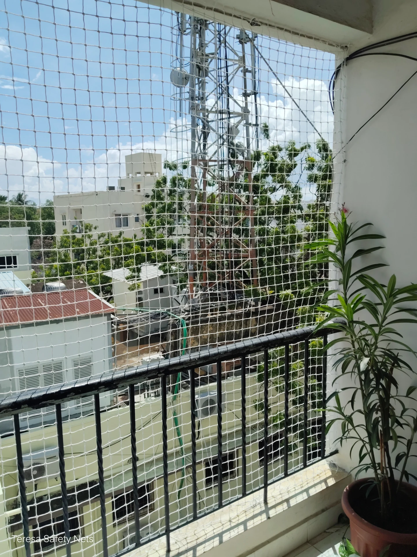 Bird Nets in Guntur