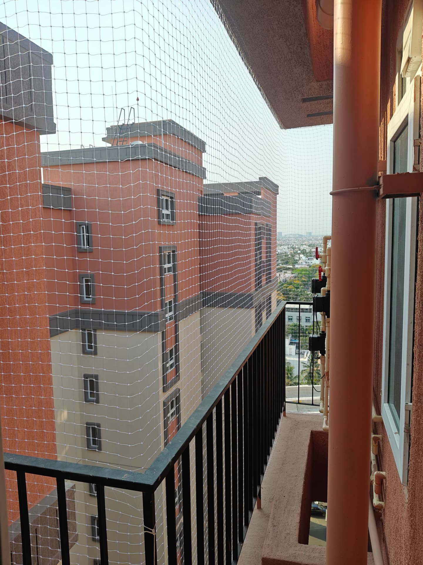 Terrace pigeon nets