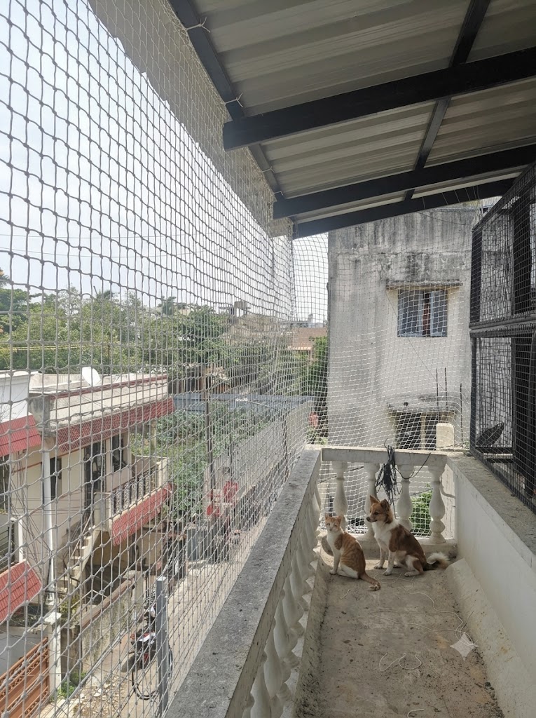 Pets safety nets