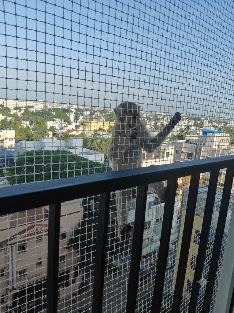 Monkey safety nets