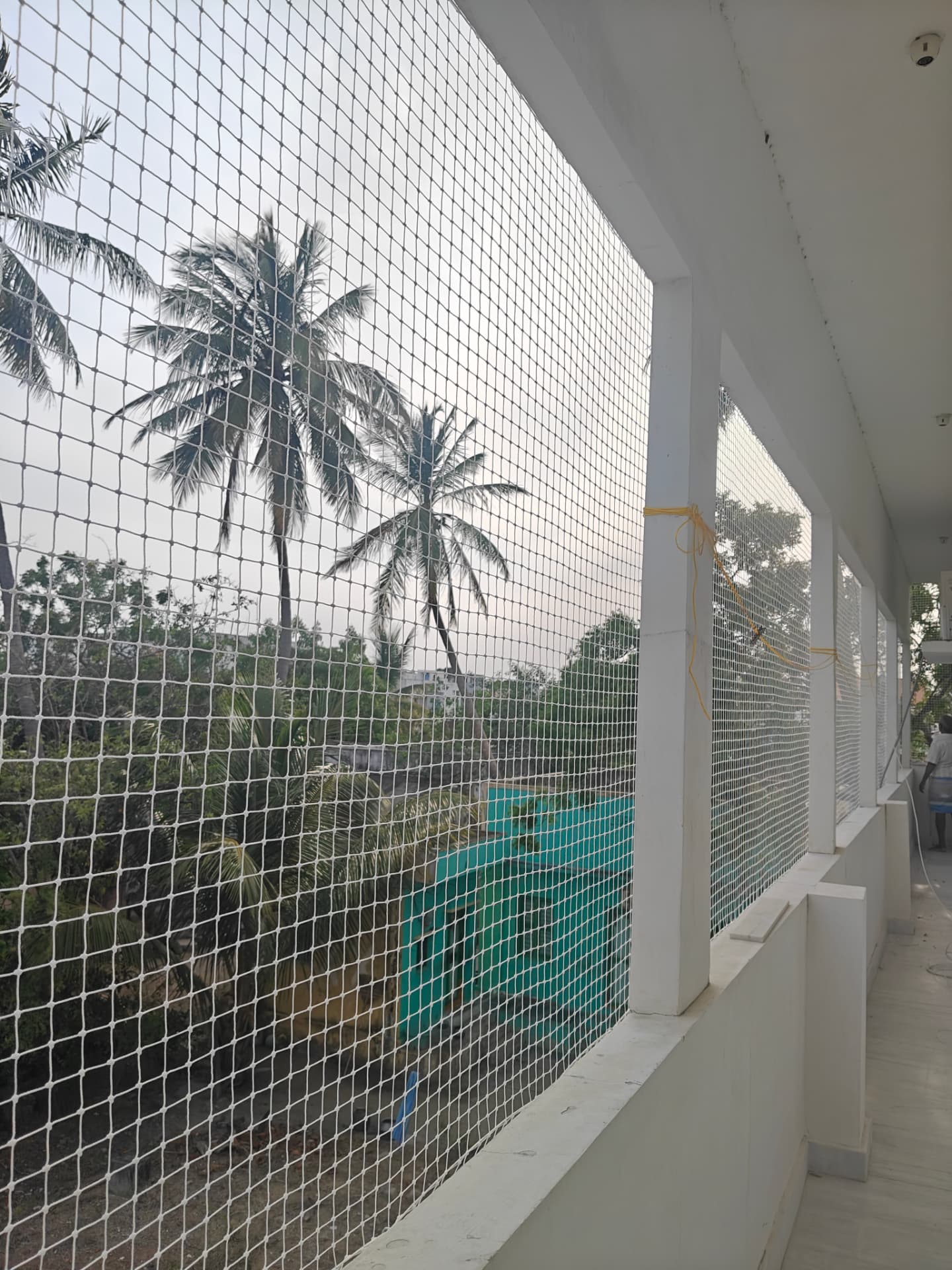Pigeon safety nets